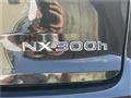 2021 Lexus NX