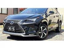 2021 Lexus NX