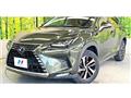 2021 Lexus NX