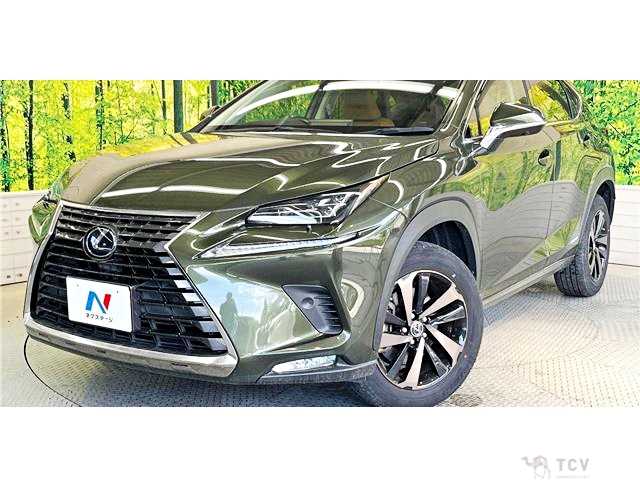 2021 Lexus NX