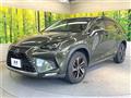2021 Lexus NX