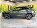 2021 Lexus NX