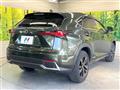 2021 Lexus NX