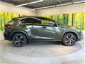 2021 Lexus NX