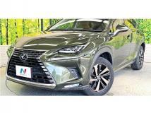 2021 Lexus NX