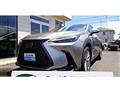 2021 Lexus NX