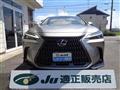2021 Lexus NX