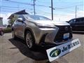 2021 Lexus NX