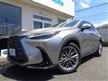 2021 Lexus NX