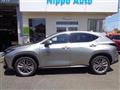 2021 Lexus NX
