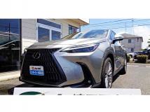 2021 Lexus NX