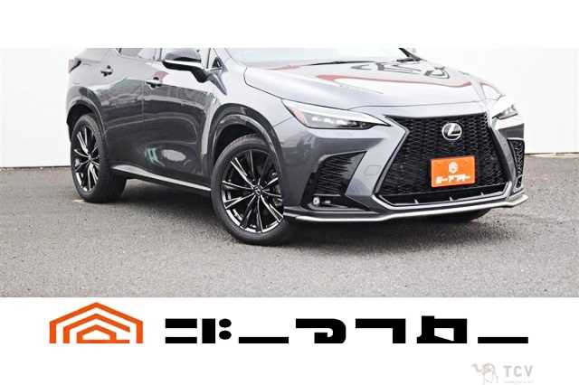 2021 Lexus NX
