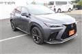 2021 Lexus NX