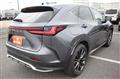 2021 Lexus NX