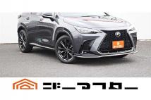 2021 Lexus NX