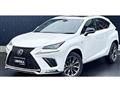2021 Lexus NX