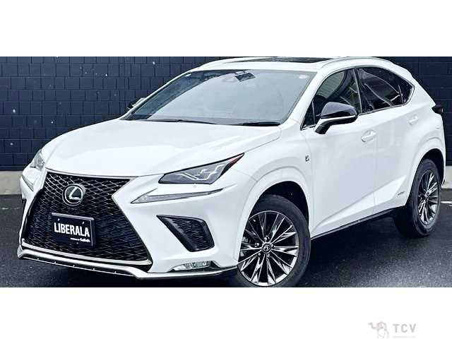 2021 Lexus NX