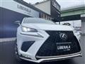 2021 Lexus NX