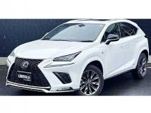 2021 Lexus NX