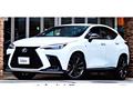 2021 Lexus NX