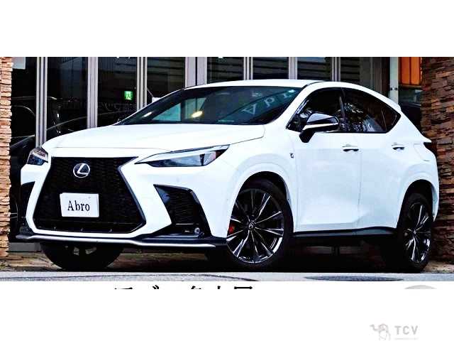 2021 Lexus NX