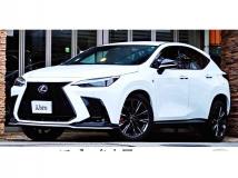 2021 Lexus NX