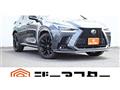 2021 Lexus NX