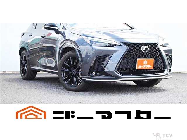 2021 Lexus NX