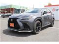 2021 Lexus NX