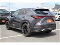 2021 Lexus NX
