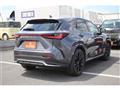 2021 Lexus NX