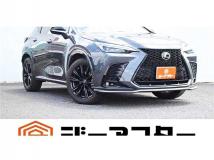 2021 Lexus NX