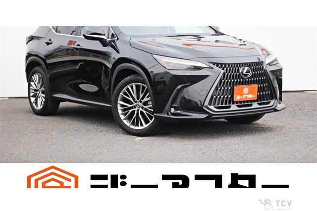 2021 Lexus NX