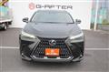 2021 Lexus NX