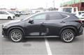 2021 Lexus NX