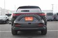 2021 Lexus NX