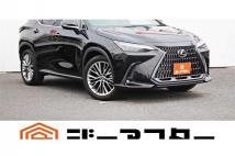 2021 Lexus NX