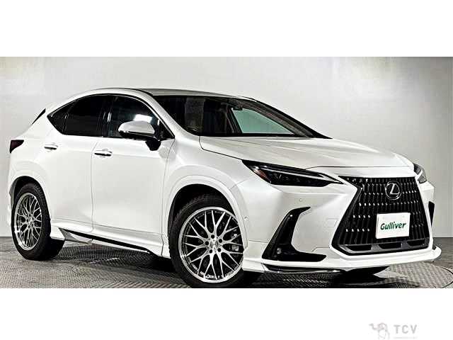 2021 Lexus NX