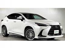 2021 Lexus NX
