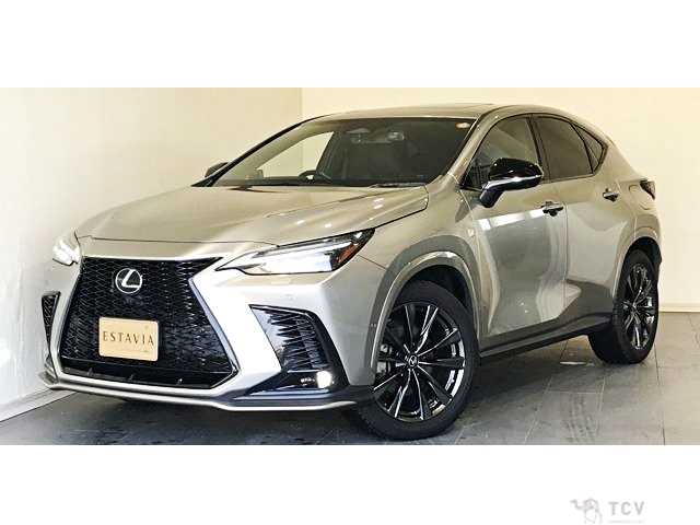 2021 Lexus NX