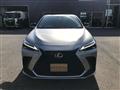 2021 Lexus NX