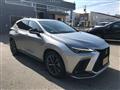 2021 Lexus NX
