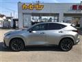 2021 Lexus NX