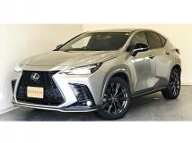 2021 Lexus NX