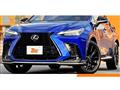 2021 Lexus NX