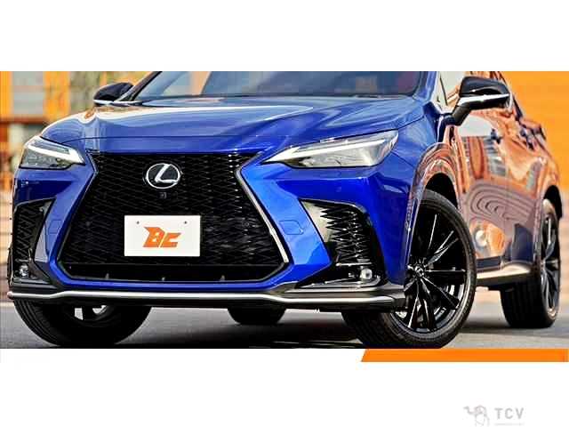 2021 Lexus NX