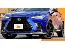 2021 Lexus NX