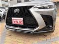 2021 Lexus NX