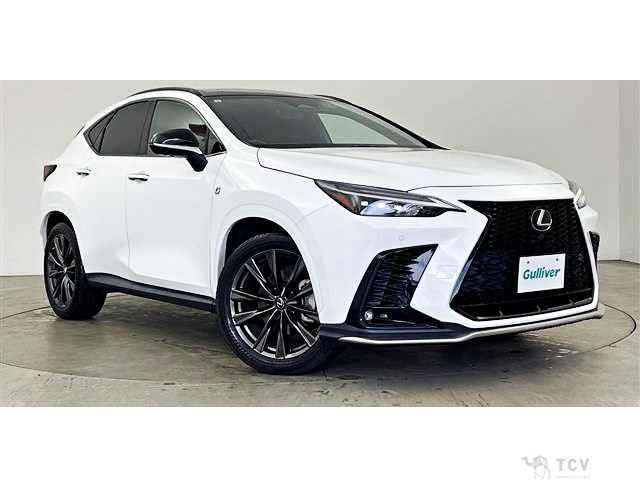2021 Lexus NX