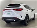 2021 Lexus NX